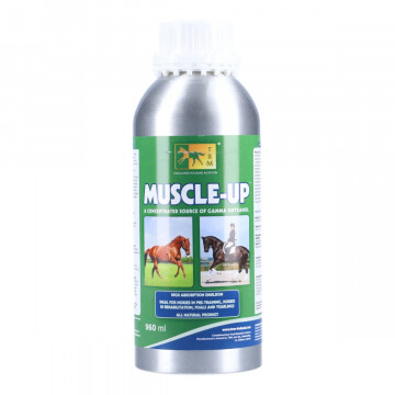 Trm muscle-up