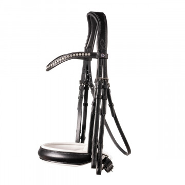 Trust Stang en Trens Hoofdstel Wellington