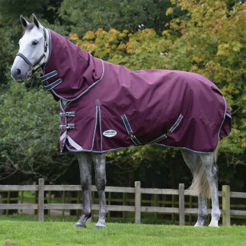 Weatherbeeta Comfitec Plus Dynamic + Hood Lite 100 G