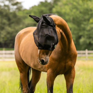 Weatherbeeta Fly Mask ComFiTec Double Dart Deluxe With Ears Weatherbeeta Fly Mask ComFiTec Double Dart Deluxe With Ears