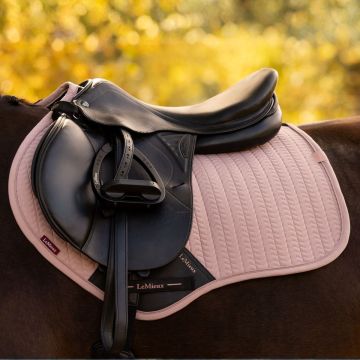 Lemieux Essence Eurojump Square Damson