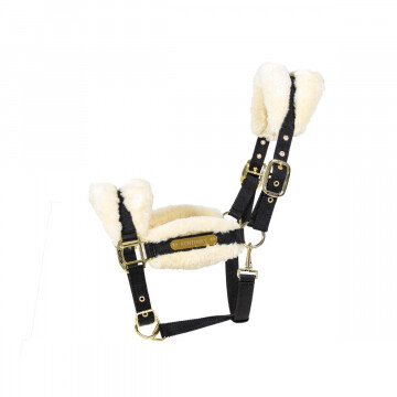 Licol nylon avec fourrure douce Kentucky 