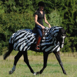 Couvre-reins anti-mouche Bucas Buzz Off Zebra