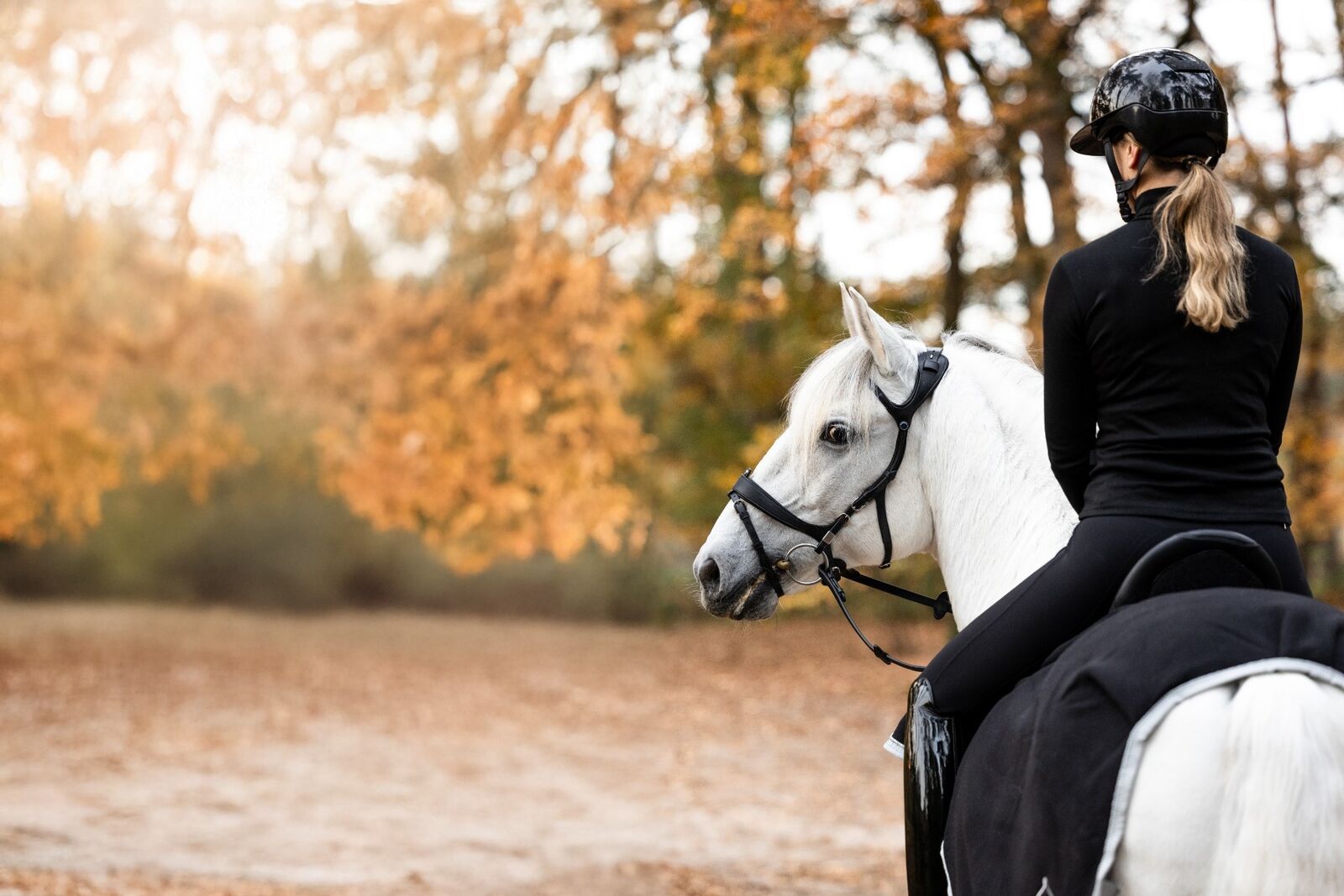 SUR TOUT DANS LA SOLDES