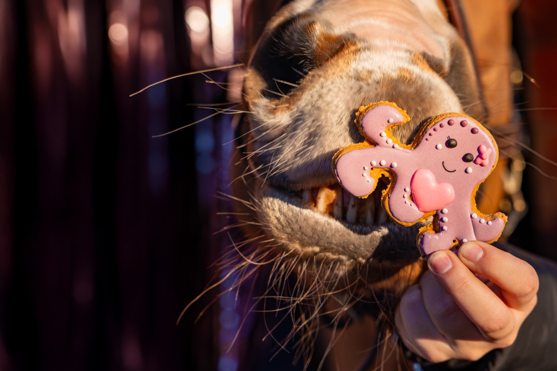 25 % DE R&Eacute;DUCTION 