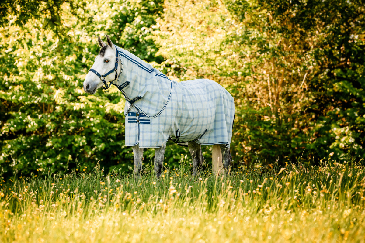 20 % DE R&Eacute;DUCTION