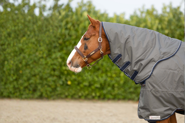 Couvre-cou offert (59,95 &euro;)