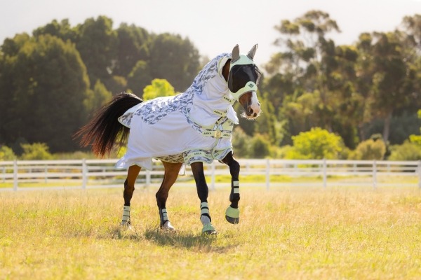 JUSQU&rsquo;&Agrave; 20 % DE R&Eacute;DUCTION